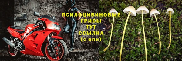 ECSTASY Баксан