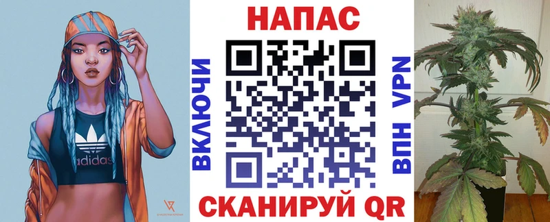 Бошки Шишки MAZAR гидра Выкса купить